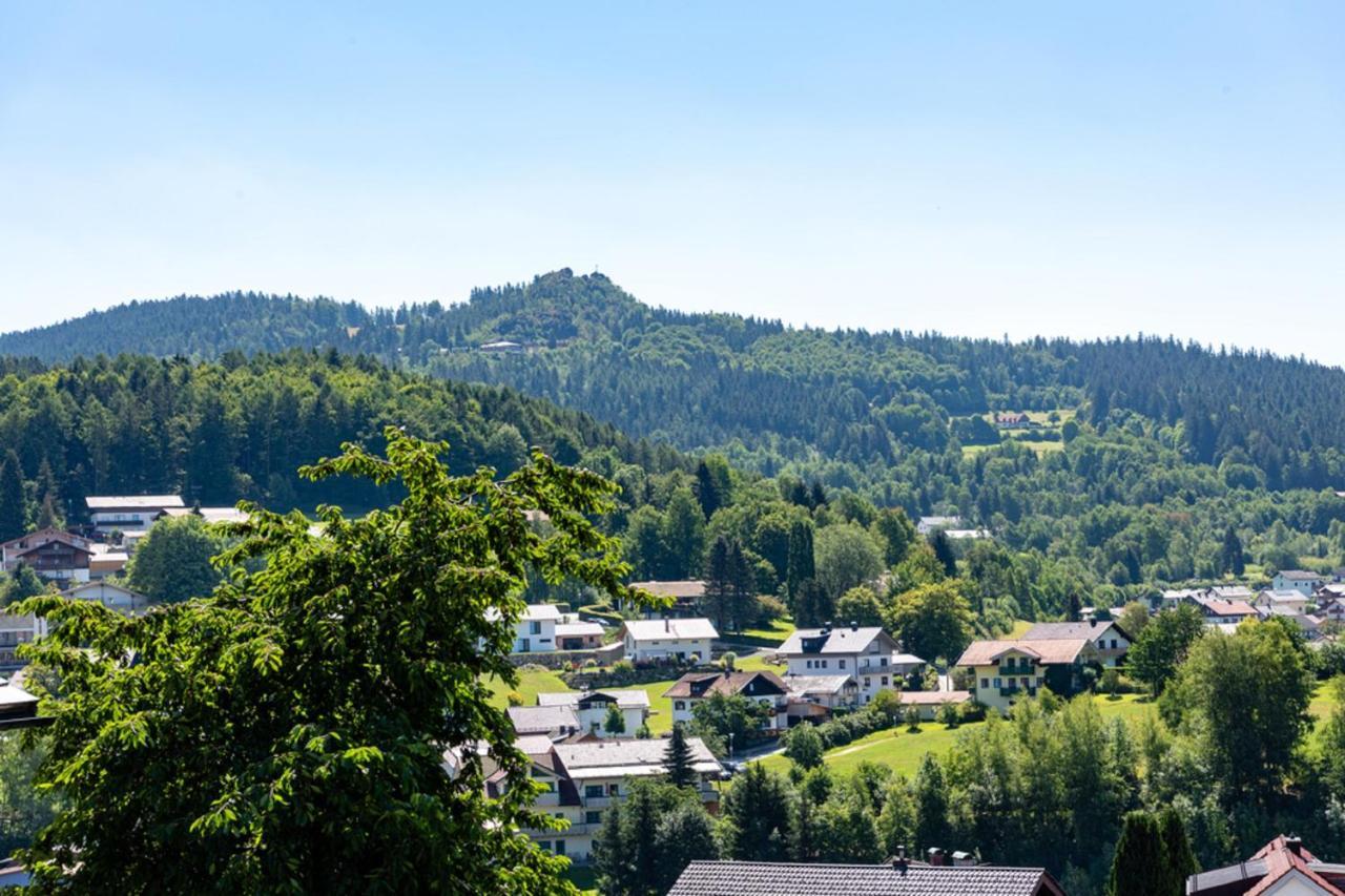 Ferienwohnungen Haus Elisabeth Bodenmais Bagian luar foto