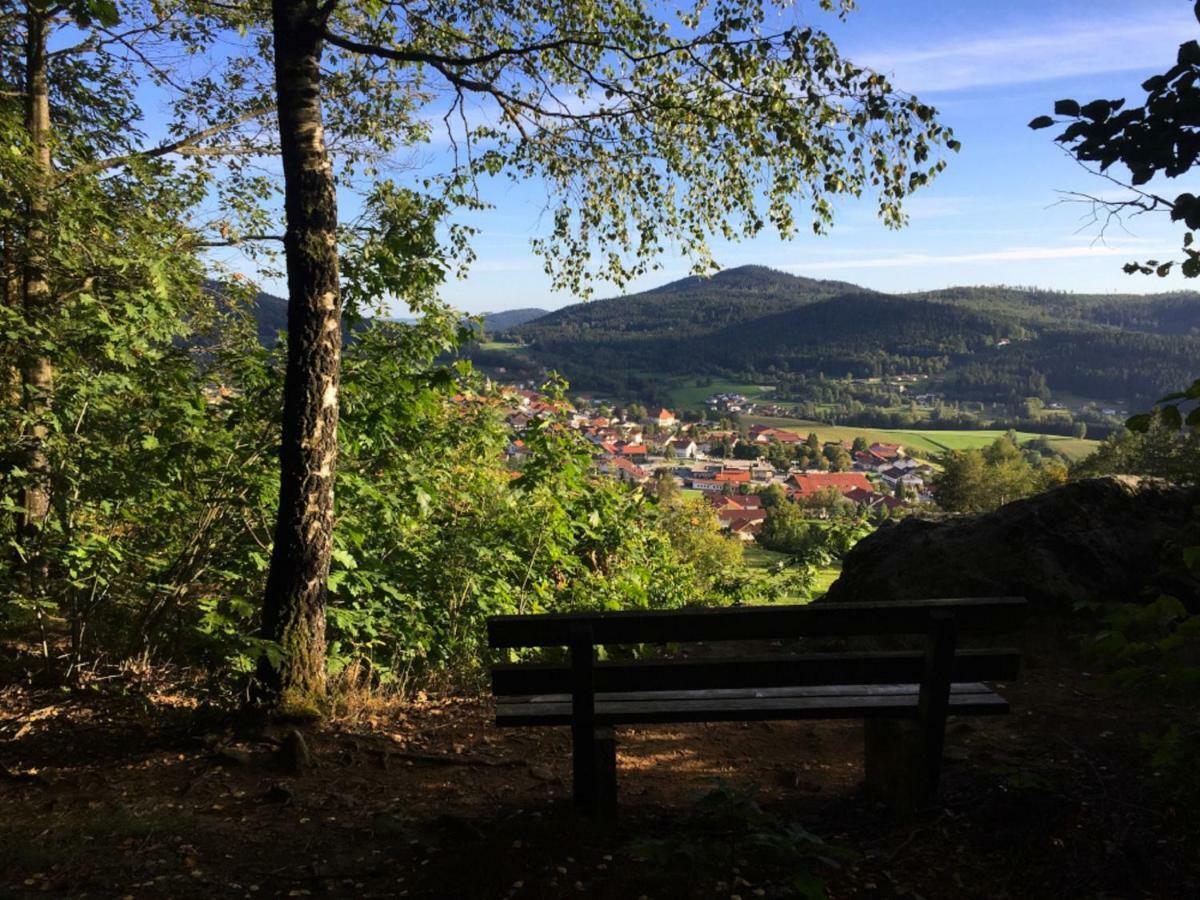 Ferienwohnungen Haus Elisabeth Bodenmais Bagian luar foto