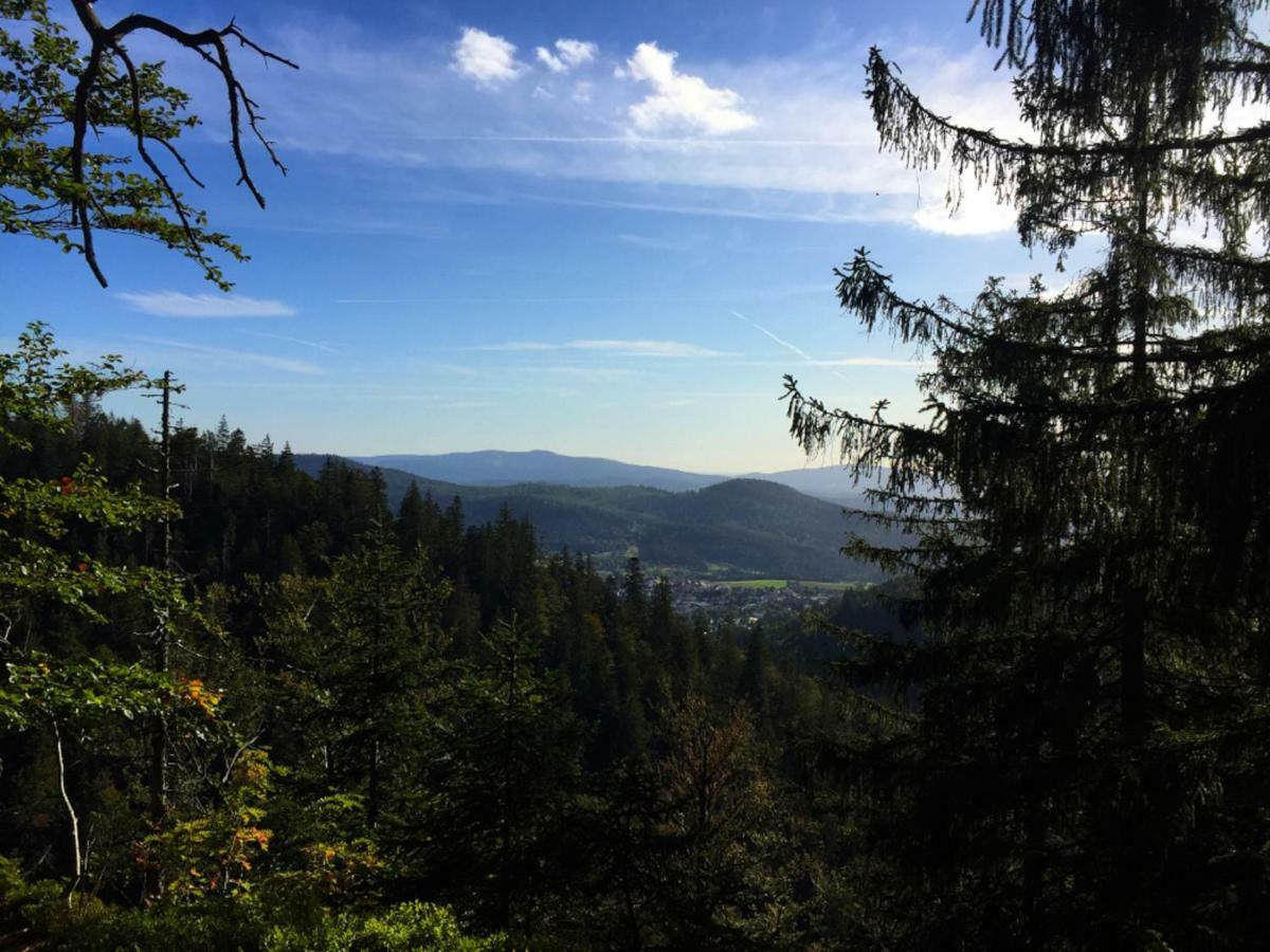 Ferienwohnungen Haus Elisabeth Bodenmais Bagian luar foto